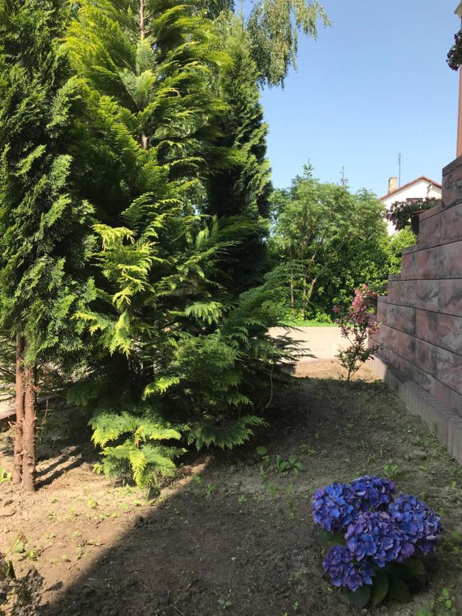 Noclegi Viva Mszczonów المظهر الخارجي الصورة
